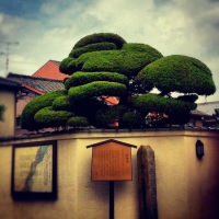 Day 5: Kyoto: Arashiyama, Otagi Nenbutsu-Ji